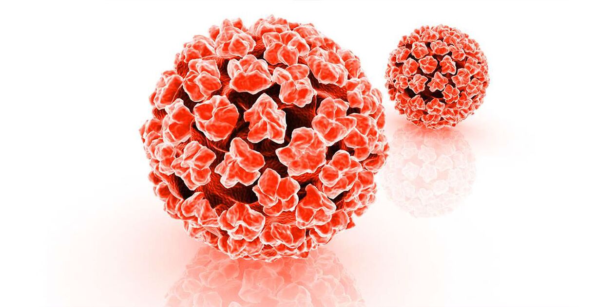 Dangers of the human papillomavirus virus