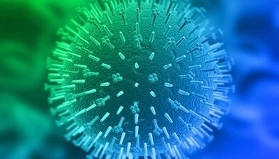 Pathway of human papillomavirus infection